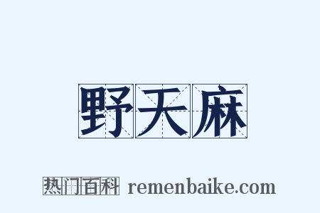 野天麻是什么意思的图片